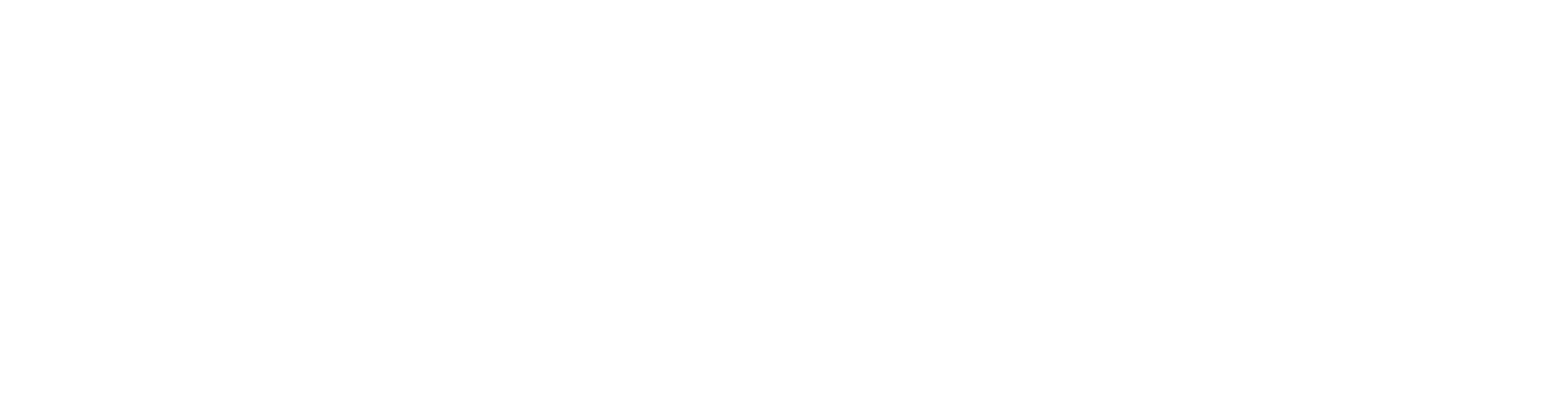 ADAS GLOBUS Logo
